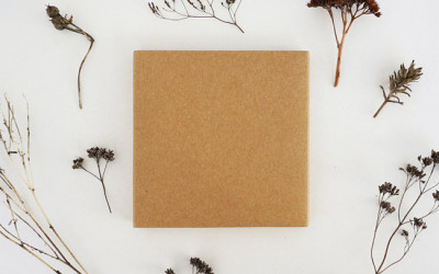What is greenlist™ and why are you building it?